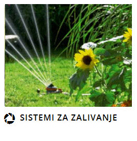 RASADNICI PODGORICA CRNA GORA